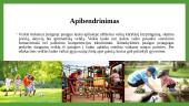 Lauko ugdomoji aplinka 13 puslapis