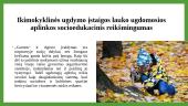 Lauko ugdomoji aplinka 3 puslapis