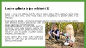 Lauko ugdomoji aplinka 4 puslapis