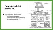 Lauko ugdomoji aplinka 7 puslapis