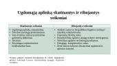 Lauko ugdomoji aplinka 9 puslapis