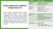 Lauko ugdomoji aplinka 10 puslapis