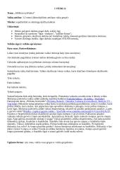 Trys idėjos veiklai su vaikais