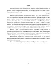 Kapitalas ir jo rūšys 2 puslapis