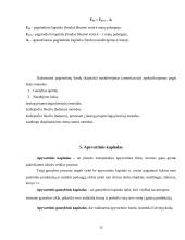 Kapitalas ir jo rūšys 12 puslapis
