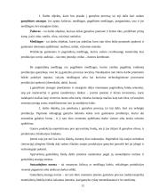 Kapitalas ir jo rūšys 13 puslapis