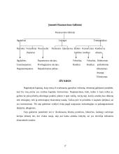 Kapitalas ir jo rūšys 17 puslapis