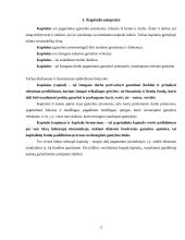 Kapitalas ir jo rūšys 3 puslapis