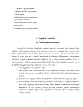 Kapitalas ir jo rūšys 5 puslapis