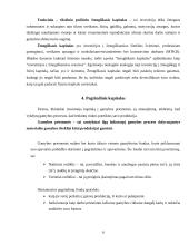 Kapitalas ir jo rūšys 6 puslapis