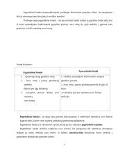 Kapitalas ir jo rūšys 7 puslapis