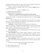 Kapitalas ir jo rūšys 9 puslapis