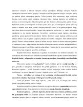 Kapitalas. Samprata ir reikšmė 2 puslapis