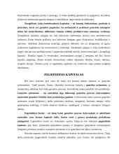 Kapitalas. Samprata ir reikšmė 4 puslapis