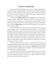 Kapitalas. Samprata ir reikšmė 8 puslapis