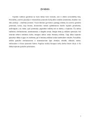 Kapitalo samprata ir reikšmė. Kapitalo formavimas 2 puslapis