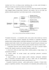 Kapitalo samprata ir reikšmė. Kapitalo formavimas 8 puslapis