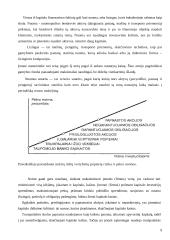 Kapitalo samprata ir reikšmė. Kapitalo formavimas 10 puslapis