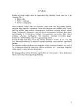 Kapitalo valdymas komercinėse įmonėse 2 puslapis