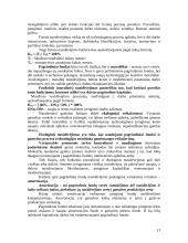 Kapitalo valdymas komercinėse įmonėse 13 puslapis