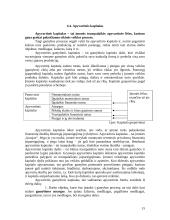 Kapitalo valdymas komercinėse įmonėse 15 puslapis