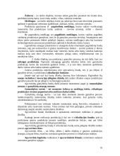 Kapitalo valdymas komercinėse įmonėse 16 puslapis