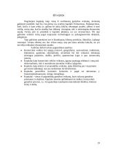 Kapitalo valdymas komercinėse įmonėse 19 puslapis