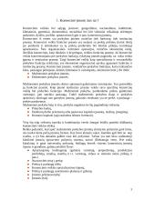 Kapitalo valdymas komercinėse įmonėse 3 puslapis