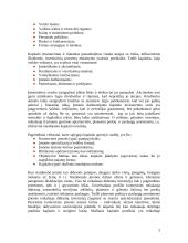 Kapitalo valdymas komercinėse įmonėse 5 puslapis