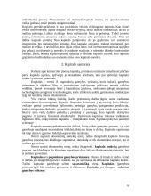 Kapitalo valdymas komercinėse įmonėse 6 puslapis