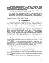 Kapitalo valdymas komercinėse įmonėse 9 puslapis