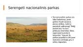 Nacionaliniai parkai (skaidrės) 5 puslapis