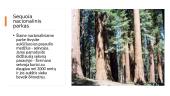 Nacionaliniai parkai (skaidrės) 8 puslapis