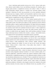 Karo industrializacija 17 puslapis