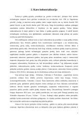 Karo industrializacija 7 puslapis