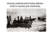 Lietuvos ir Lenkijos konfliktas 12 puslapis