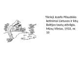 Lietuvos ir Lenkijos konfliktas 20 puslapis