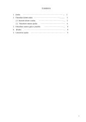 Kas yra filosofija ir kokias temas ji gvildena? 2 puslapis