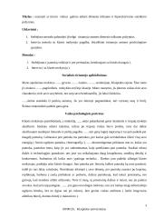 Vieno vaiko atvejo analizė. Dėmesio trūkumo ir hiperaktyvumo sutrikimas 2 puslapis