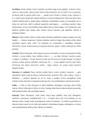 Vieno vaiko atvejo analizė. Dėmesio trūkumo ir hiperaktyvumo sutrikimas 3 puslapis