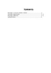 Filosofijos svarstymo pobūdis ir linkmė 2 puslapis