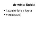 Ištekliai 20 puslapis