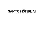 Ištekliai 10 puslapis