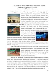 Kėdainių miesto rekreacinio tinklo teikiamų paslaugų analizė 10 puslapis