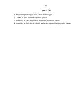 Įvaizdžio svarba 12 puslapis