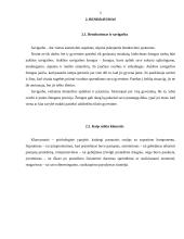 Įvaizdžio svarba 4 puslapis