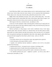 Įvaizdžio svarba 8 puslapis