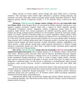 Kokia žmogaus laikysena ribinėje situacijoje?