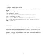 Kelionė po Druskininkus ir Merkinę 13 puslapis