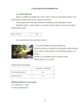 Kelionė po Druskininkus ir Merkinę 14 puslapis